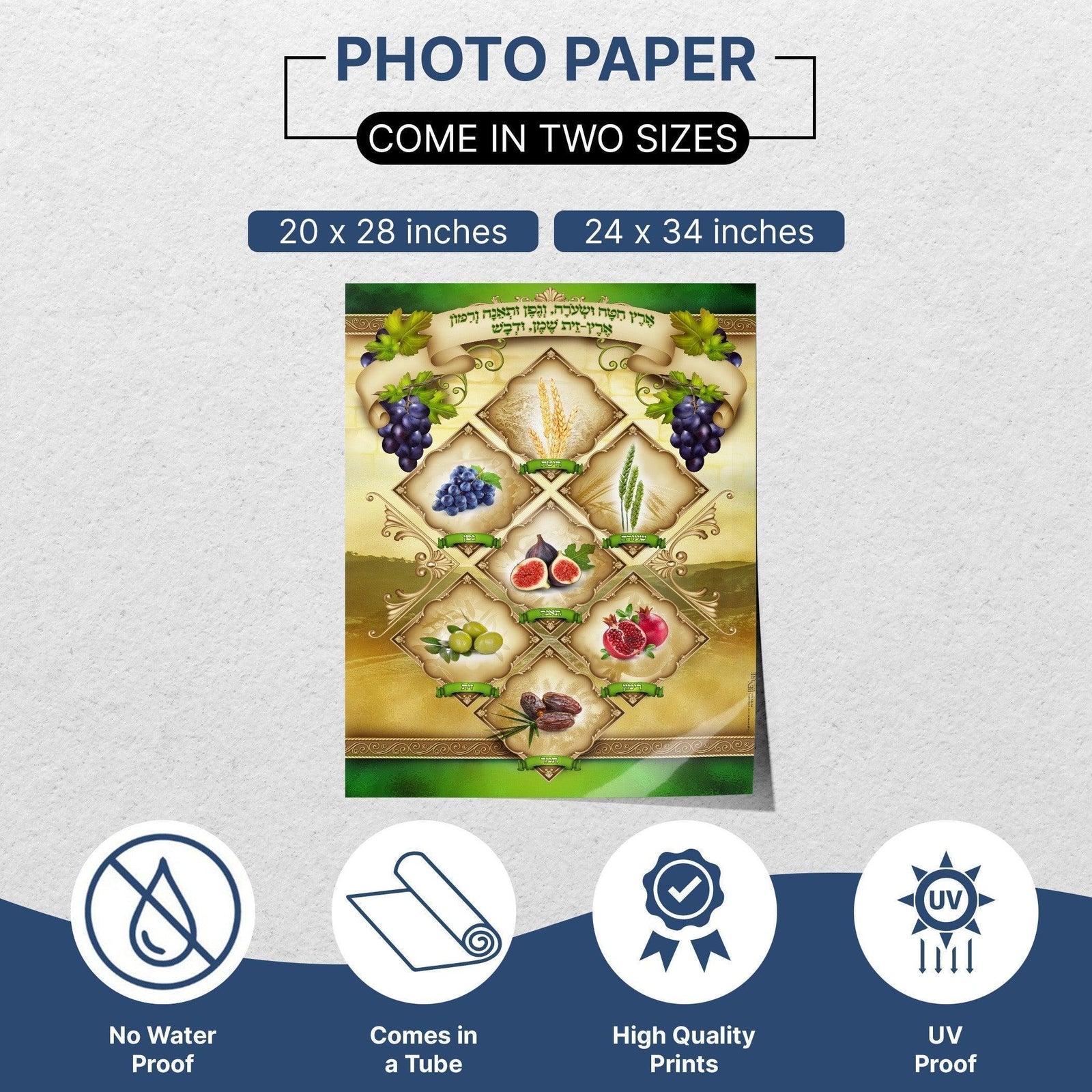 Shivaat Haminim | The Seven Species of Israel | Sukkah Poster | Jewish art | Gift | Israel | Religious Prints | Sukkah decoration - Ben-Ari Art Gallery