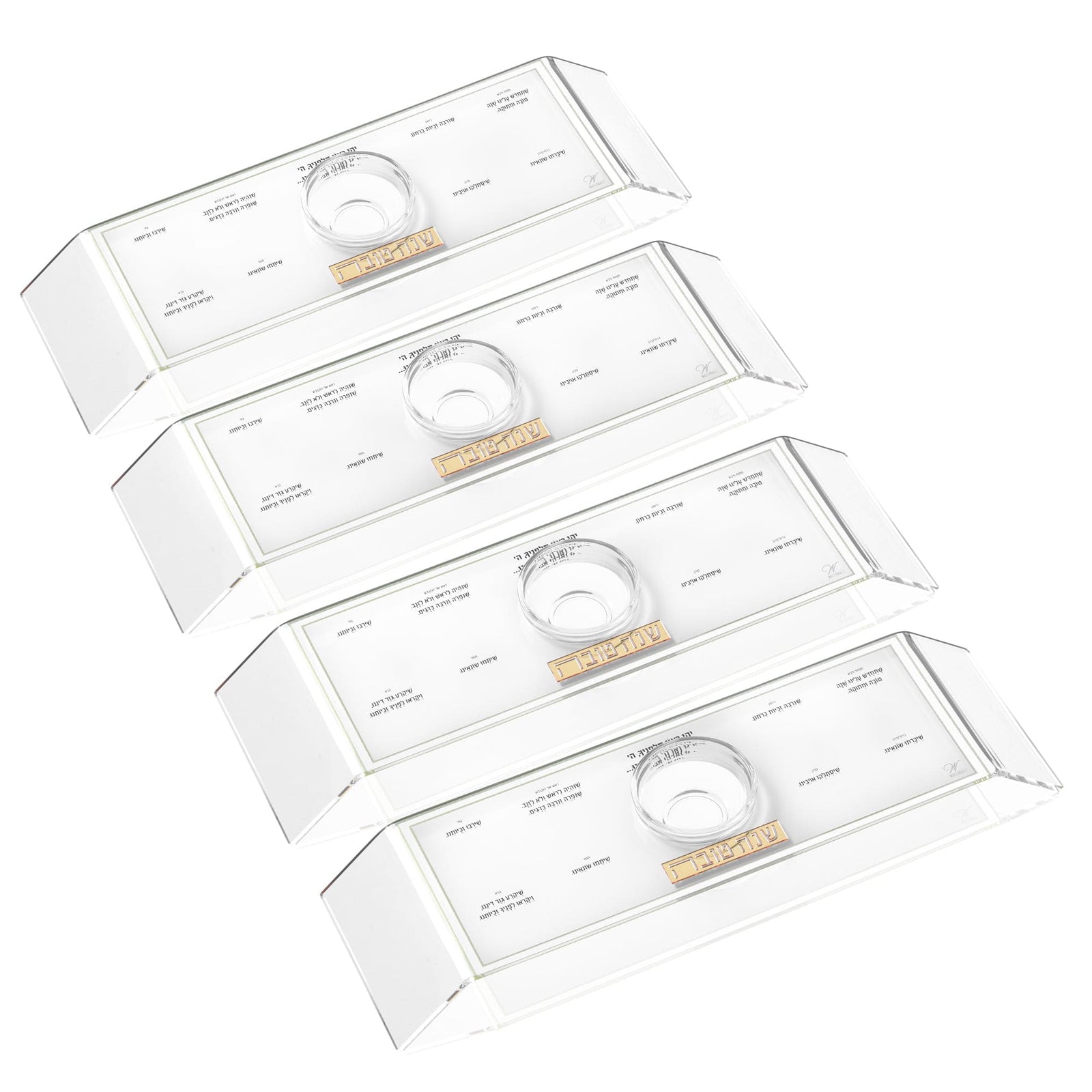 Classic 2.0 Raised Simanim Trays (4)