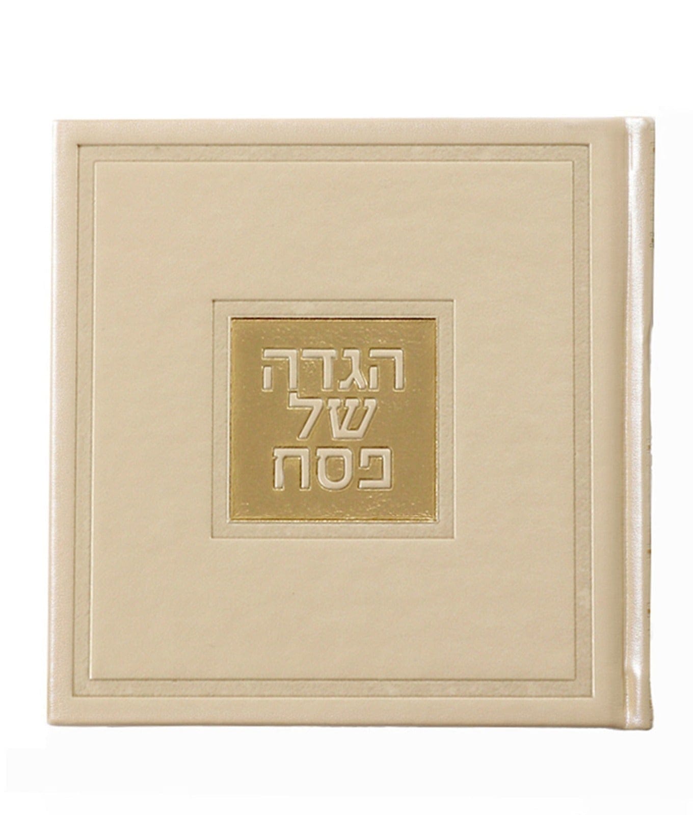 Leather Haggadah with English Instructions