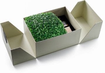 Mishloach Manos - Boxwood Vase