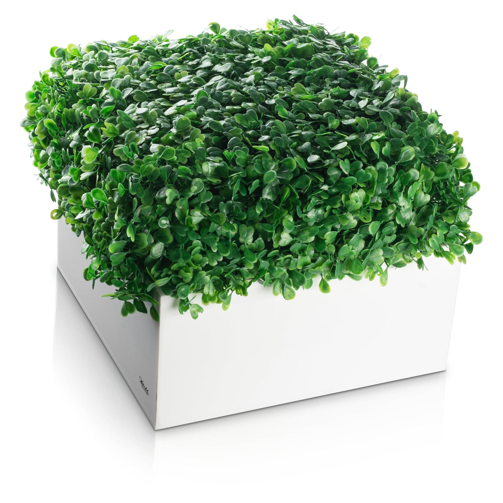 Mishloach Manos - Boxwood Vase - Waterdale Collection