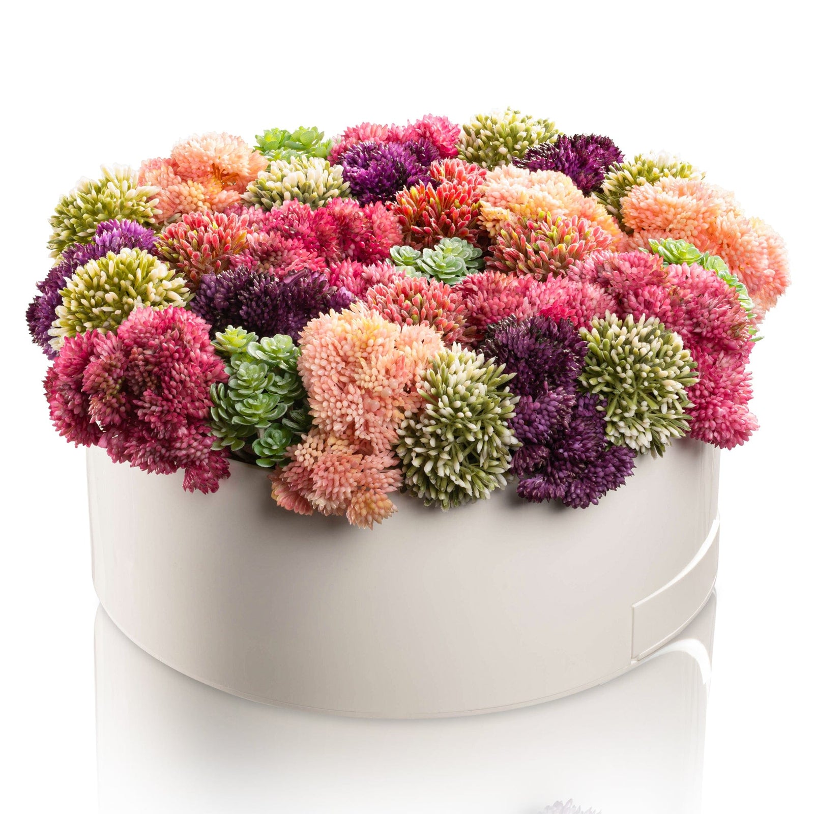 Succulent Pink Round Vase Bencher Set