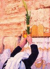 Laminated Poster 19" x 26"--Kotel Lulav-Mann