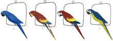 16" Hanging Parrot - ass. Colors