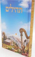Tehillim Binas Halev תהילים בינת הלב
