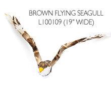 Brown Flying Seagull - 19" wide