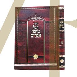 מחנה אפרים - מכון אור החיים
