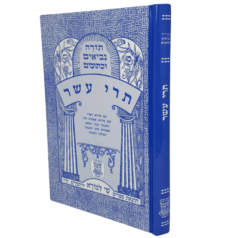 נ”ך מצודות תרי עשר לתלמידים