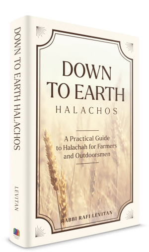 Down to Earth Halachos