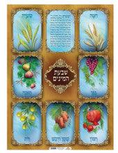 Laminated Poster 20" x 28"-- Shivat Haminim