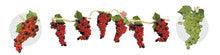 9' Grape Garland - 6 large clusters