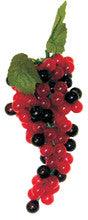 10" - 88 Grapes