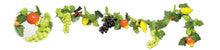 9' Fruit Garland - 36 Fruits
