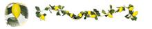 9' Esrog Rope Garland - 13 Esrogim
