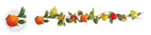 9' Fruit Garland - 17 small fruits