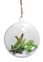 Hanging Glass Faux Plant 6"