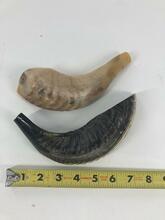 Shofar (Ram Horn) SH0 Mini 10"