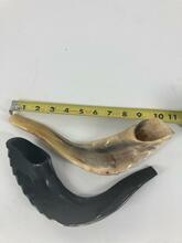 Shofar (Ram Horn) SH1 Small 11/12"