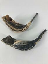 Shofar (Ram Horn) SH4 Large 15/16"
