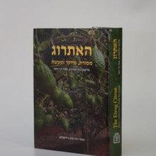 האתרוג