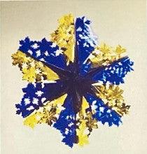 6 Section Gold and BLUE Star - Pack of 12 - 24"