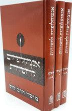 אנציקלופדיה לחסידות 3 כרכים-Mosad Rav Kook