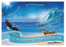 Laminated Poster 20" x 28"--