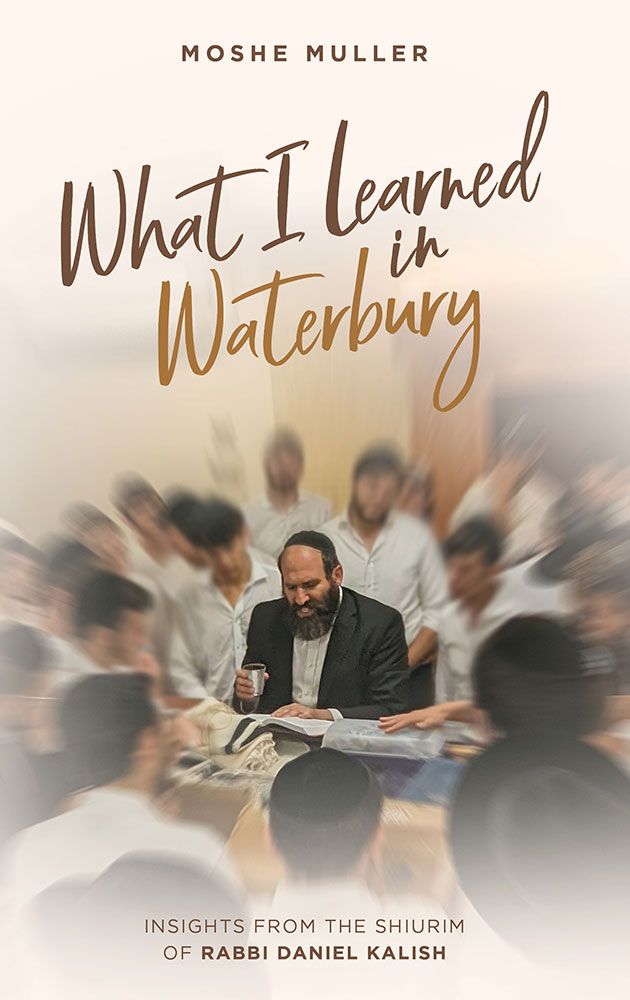 What I Learned in Waterbury