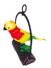 Musical Bird