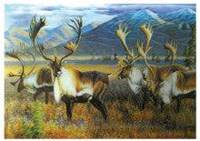4D Poster 20" x 28"-- Deer
