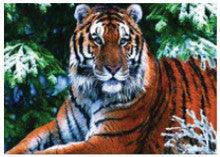 4D Poster 20" x 28"-- Tiger