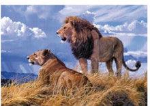 4D Poster 20" x 28"-- Lions