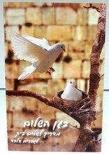 Bagan Hashalom - The Garden Of Peace HEBREW בגן השלום-מדריך לשלום בית-לגברים בלבד by Rabbi Shalom Arush