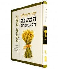 המשנה המבוארת מסכת שביעית HaMishna HaMivoeret Shvi'it Steinsaltz