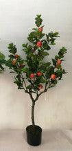 Apple Tree - Small Apples