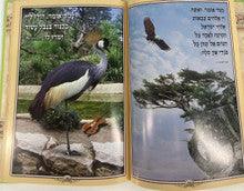 Perek Shira With Tehillim-Malchus 12 X 8.5