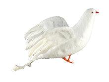 18" white Dove