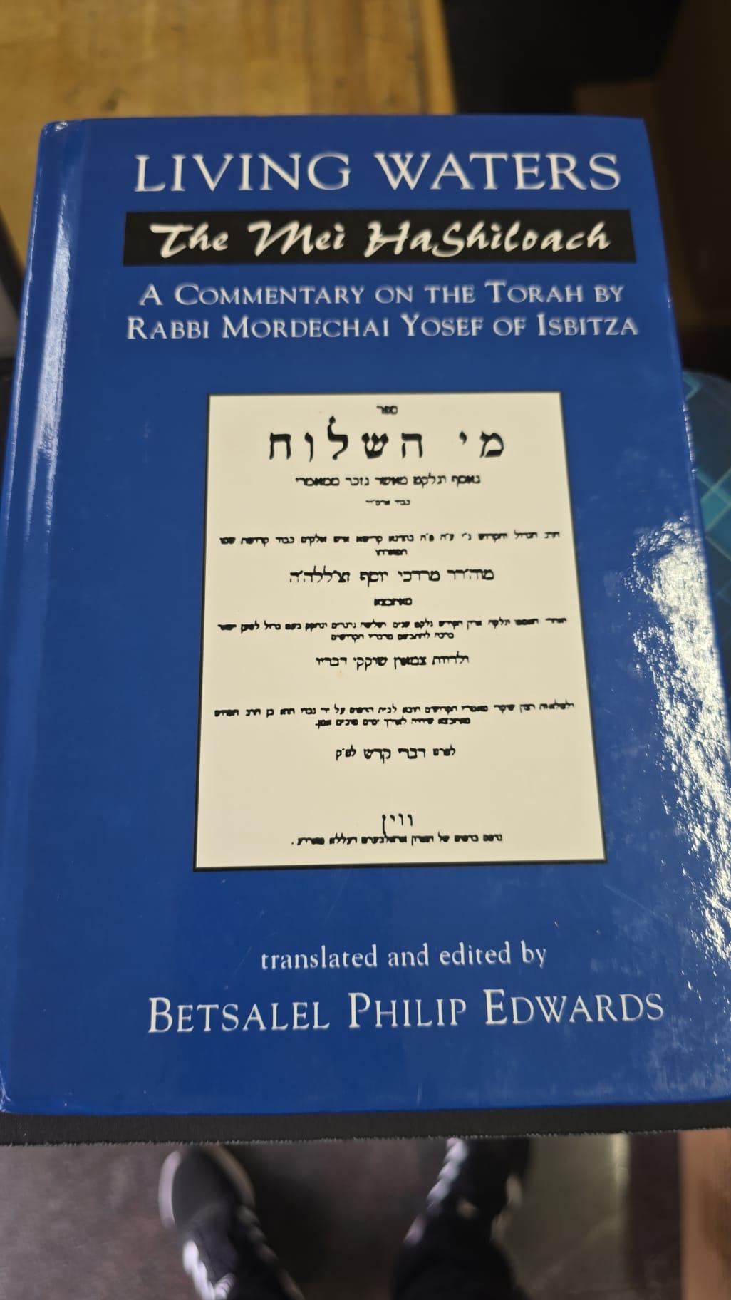 Living Waters: The Mei HaShiloach - Hardcover