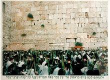 Laminated Poster 20" x 28"-- Kotel