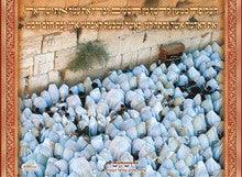 Laminated Poster 20" x 28"-- Birchat Kohanim