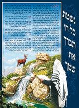 Laminated Poster 20" x 28"-- Nishmas