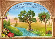 Laminated Poster 20" x 28"-- Ilan