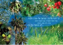 Laminated Poster 20"x 28" -- Shivat Haminim