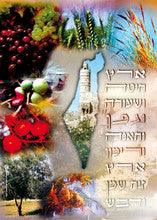 Laminated Poster 20" x 28"-- Shivat Haminim