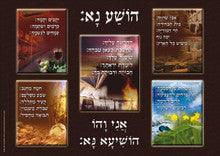 Laminated Poster 20" x 28"-- Hoshanot