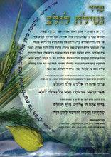 Laminated Poster 20" x 28"-- Netilat Lulav