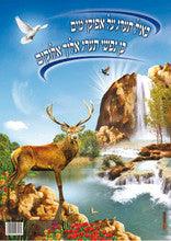 Laminated Poster 20" x 28"-- Tehillim