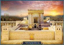 Laminated Poster 20" x 28"-- Bais Hamikdash
