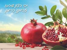 Laminated Poster Rimon -18"x24"