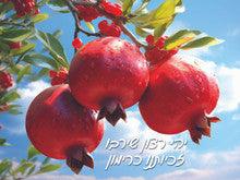 Laminated Poster Rimonim -18"x24"